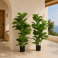 Plantas Artificiales Ficus 110 cm Pack de 2 con Maceta | Decoración Natural