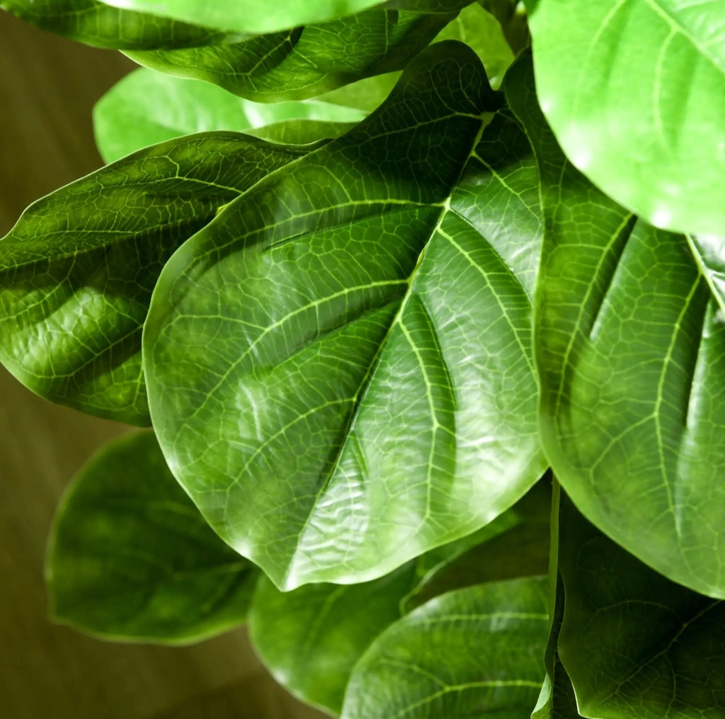Plantas Artificiales Ficus 110 cm Pack de 2 con Maceta | Decoración Natural